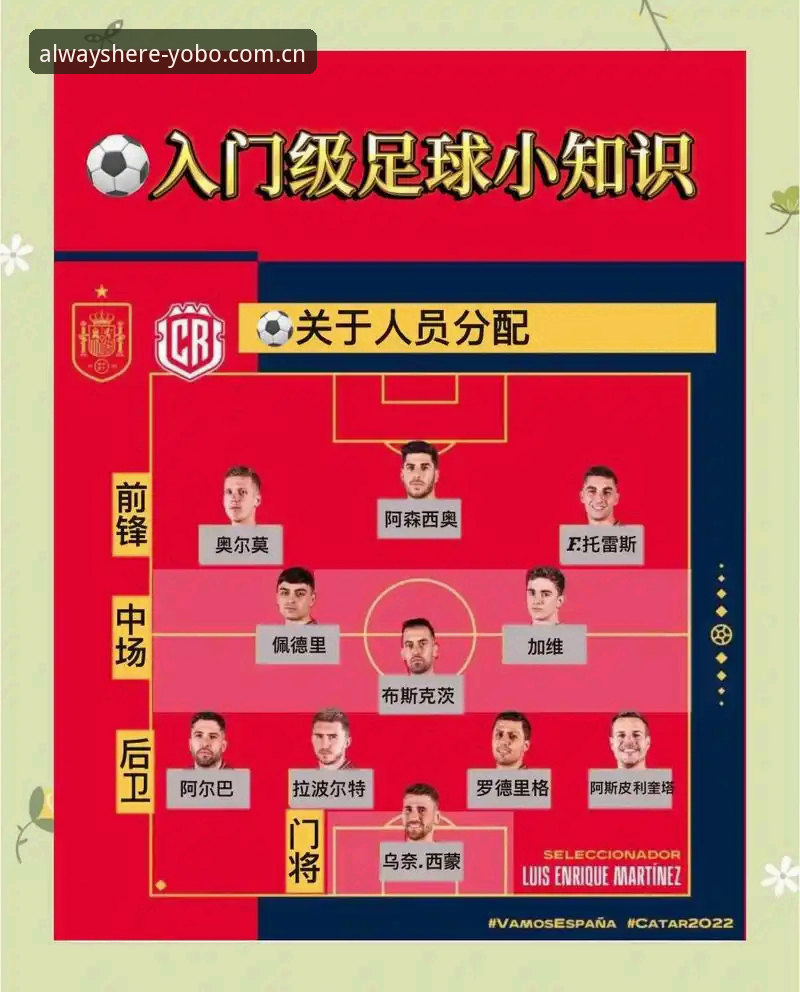 佛得角世界杯爆冷教学：如何在yobo体育平台看懂弱旅的生存法则